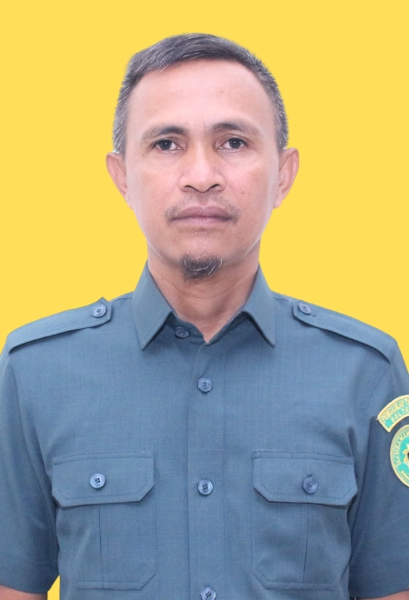rommy